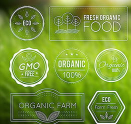 食品安全宣傳欄圖片矢量圖免費下載 psd格式 編號15757002 千圖網(wǎng)