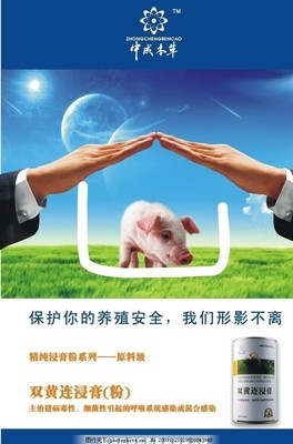 豬養(yǎng)殖產品廣告圖片